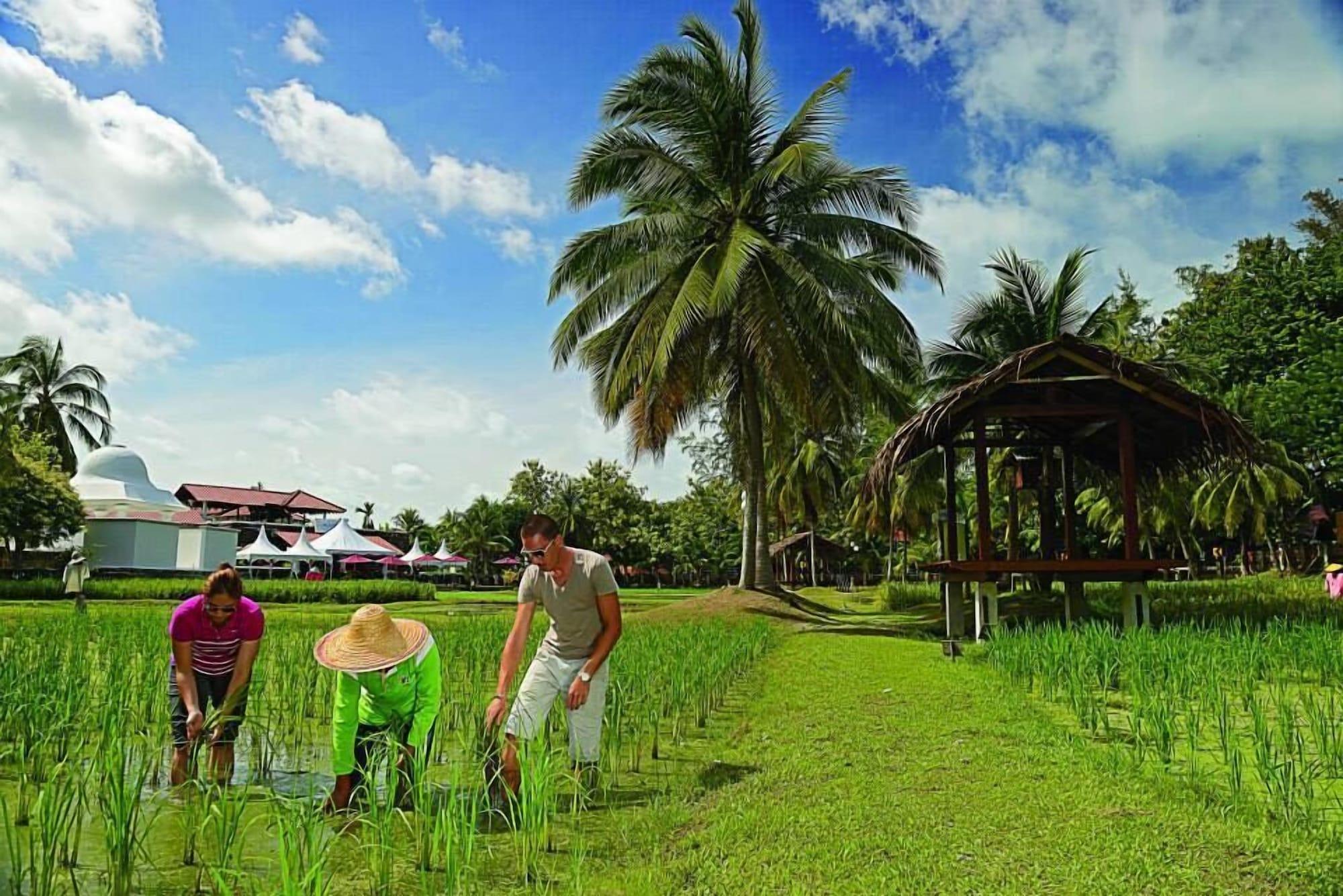 The Gemalai Village Hotel Pantai Cenang (Langkawi)
