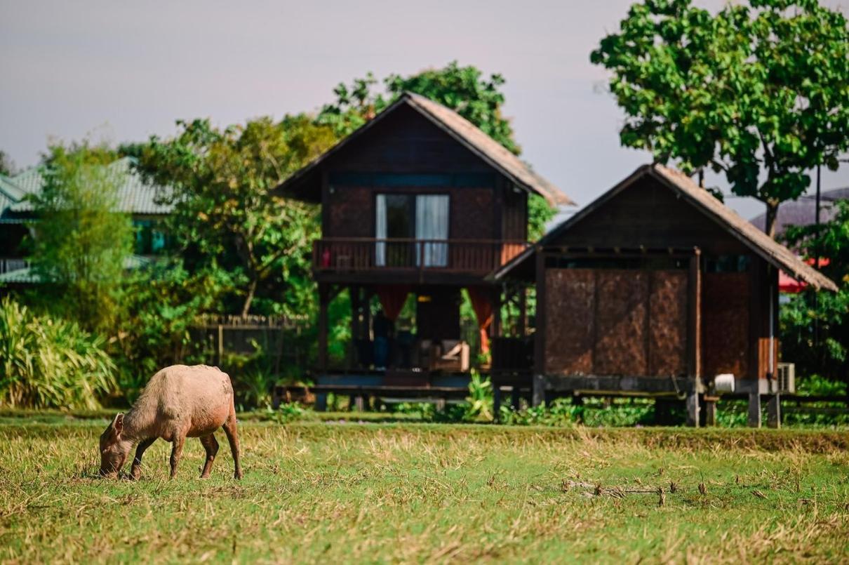 Hotel The Gemalai Village 3*